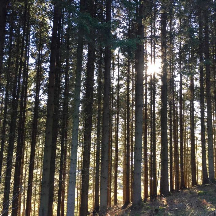 Fernbank House Guest House Aberfeldy Perthshire Scotland