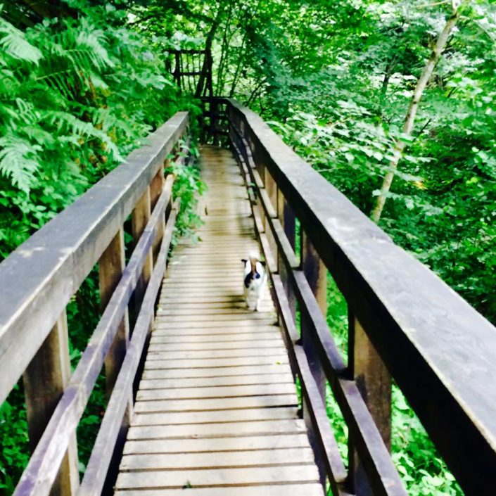 Fernbank House Guest House Aberfeldy Perthshire Scotland