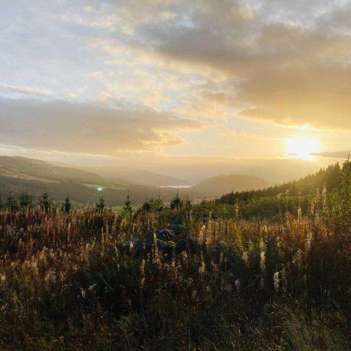 Fernbank Guest House and Bed and Breakfast Aberfeldy